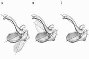 Dynamic Comparison of Segmentary Scapulohumeral Rhythm Between Athletes With and Without Impingement Syndrome