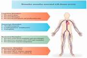 Interpretation of Hematological, Biochemical, and Immunological Findings of COVID-19 Disease: Biomarkers Associated with Severity and Mortality