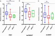 The role of FOXC1/FOXCUT/DANCR axis in triple negative breast cancer: a bioinformatics and experimental approach