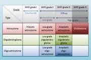 Evaluation of diagnostic accuracy of the approved tumor mapping protocol in grading of glial tumors