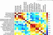 Classification algorithms with multi-modal data fusion could accurately distinguish neuromyelitis optica from multiple sclerosis