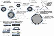 Inertial cavitation bubbles-induced by combined high and low frequency ultrasound accompanied by discontinuation of cholesterol-rich diet for advanced atherosclerosis regression