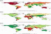 Patterns of better breast cancer care in countries with higher human development index and healthcare expenditure: Insights from GLOBOCAN 2020