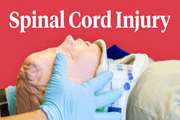 Quality of in hospital care in traumatic spinal column and cord injuries (TSC/SCI) in I.R Iran