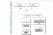A systematic review and meta analysis on the association between lymphocyte subsets and the severity of COVID 19
