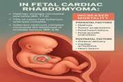Factors Affecting Pregnancy Outcomes in Fetal Cardiac Rhabdomyoma: A Systematic Review and Analysis of 859 Cases