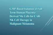 GMP-Based Isolation of Full-Term Human Placenta-Derived NK Cells for CAR-NK Cell Therapy in Malignant Melanoma