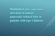 Highlighted gene expression alteration in human pancreatic isolated islets in patients with type 2 diabetes