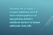 Potential role of Sigma-1 receptor inhibition and ER stress-related pathways in upregulating definitive endoderm markers in human embryonic stem cells
