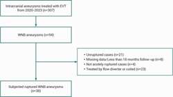  treatment of acutely ruptured wide-neck bifurcation aneurysms