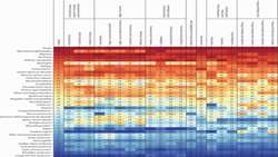 Global burden of nervous system disorders