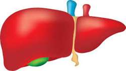 Diagnostic Procedures in Pediatric Autoimmune Hepatitis