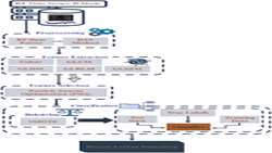 Ultrasound Radio Frequency Time Series for Tissue Typing