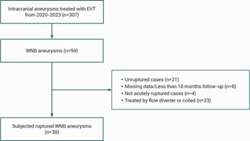 Woven EndoBridge and stent-assisted coiling for treatment of ane
