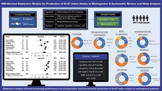 MRI-derived radiomics models for prediction of Ki-67 index status in meningioma {faces}