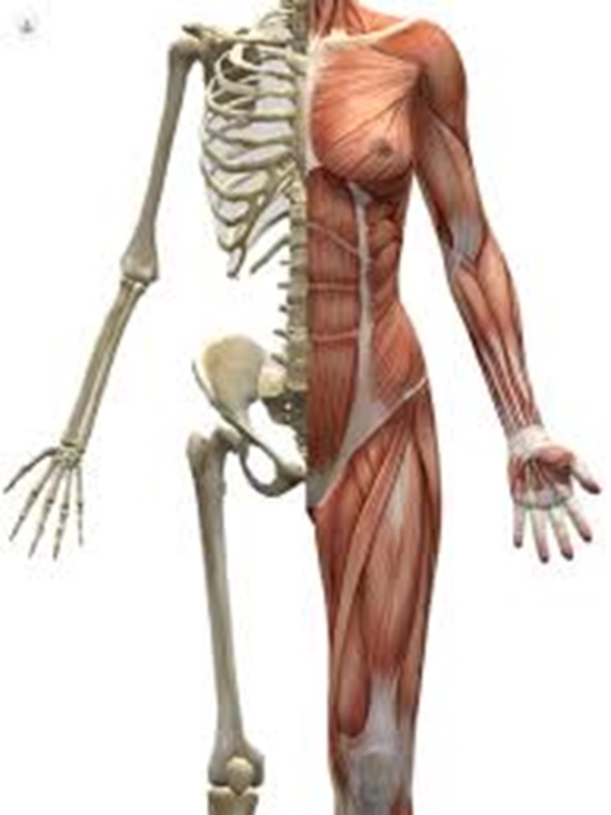 همبستگی تغییرات یافته های MRI عضله با علایم بالینی وپاراکلینیک  