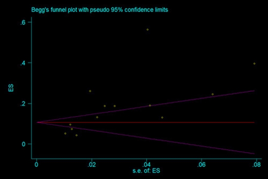 Effect of Oligopin Administration on Ovarian Morphology  {faces}