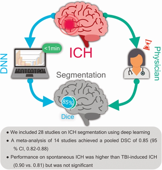 Do Deep Learning Algorithms Accurately Segment Intracerebral {faces}