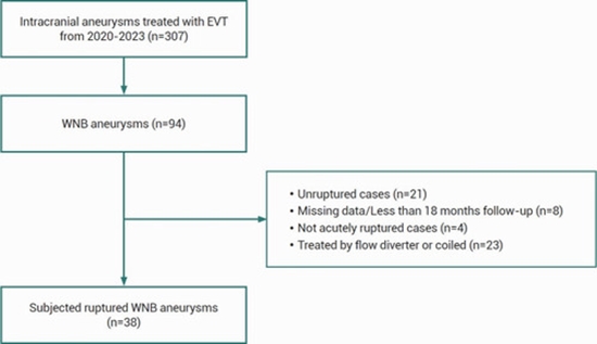  treatment of acutely ruptured wide-neck bifurcation aneurysms {faces}