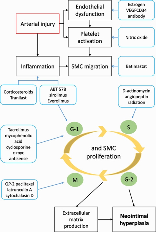 PTAS for symptomatic intracranial vertebrobasilar stenosis {faces}