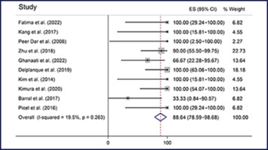 Pregnancy Rate and Outcomes Following Uterine Artery Embolization for Uterine Arteriovenous Malformations {faces}