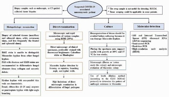 Necrotizing orbital infections {faces}