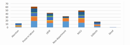 Neonatal Outcomes of Fetuses with Isolated or Multiple Soft Markers in Ultrasound Screening {faces}