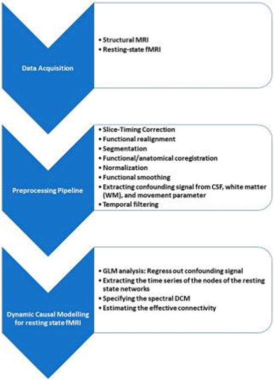  Connectivity Evaluation of Resting-State Brain Networks in Alzheimer’s Diseas {faces}