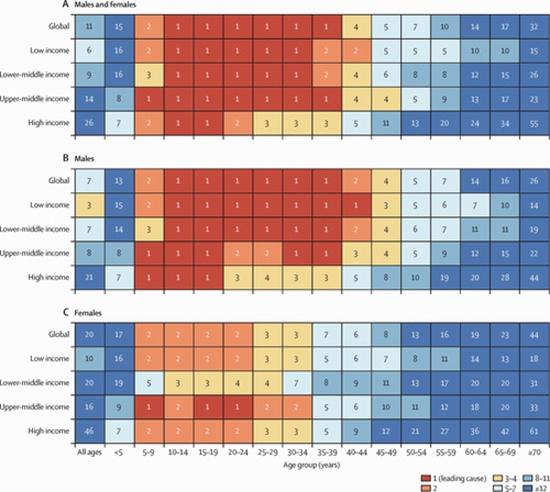 Global, regional, and national burden of road injuries 1990-2023 {faces}