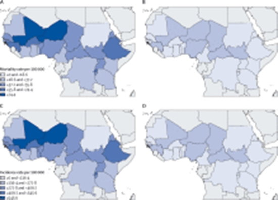 Global, regional, and national burden of meningitis, its risk factors {faces}