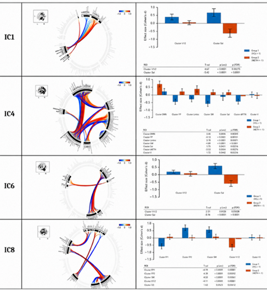 Effects of Methadone on Brain Network Instability in Methamphetamine Use  {faces}