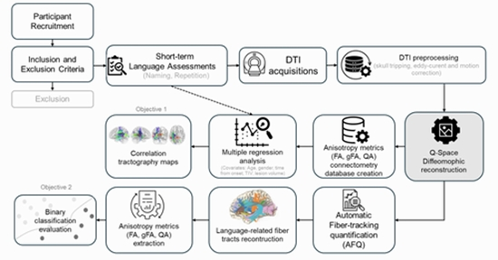 Tractography-based Predictors of Post-Stroke Aphasia {faces}