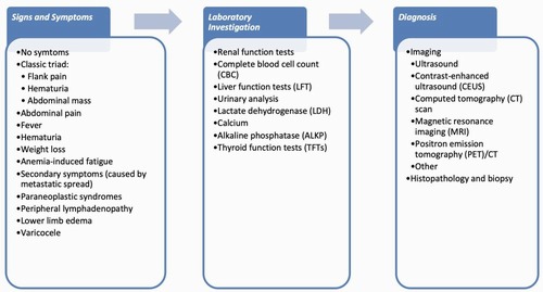 Renal cell carcinoma: an overview of the epidemiology, diagnosis, and treatment